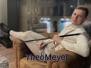 TheoMeyer Site Cul
