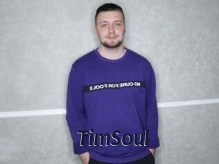 TimSoul