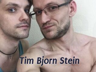 Tim_Bjorn_Stein Site Cul