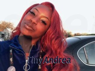 TinyAndrea