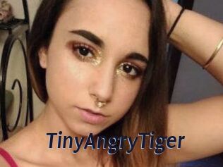 TinyAngryTiger