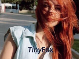 TinyFox