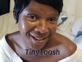 TinyToosh