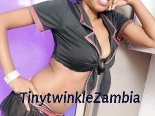 TinytwinkleZambia Site Cul