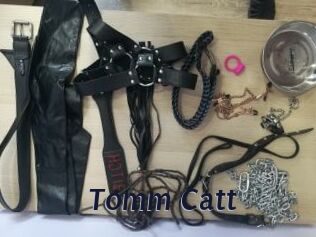 Tomm_Catt