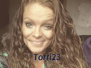 Torri23