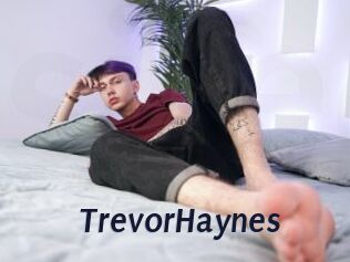 TrevorHaynes Site Cul