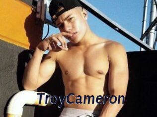 Troy_Cameron Site Cul