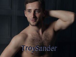 TroySander
