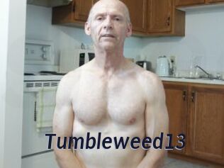 Tumbleweed13 Site Cul