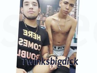 Twinksbigdick