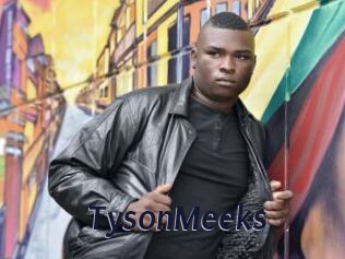TysonMeeks Site Cul