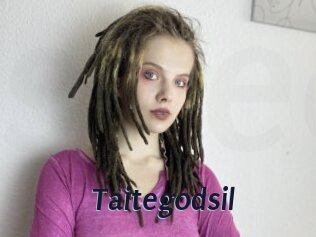 Taitegodsil