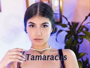 Tamaracus