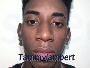 Tammylambert