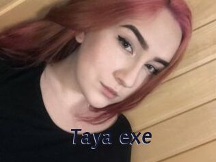 Taya_exe