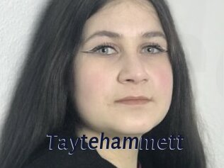 Taytehammett