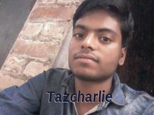 tazcharlie Site Cul