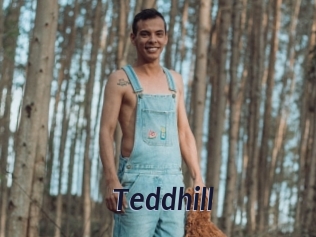 Teddhill