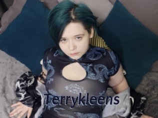 Terrykleens