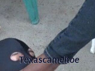 Texascameltoe