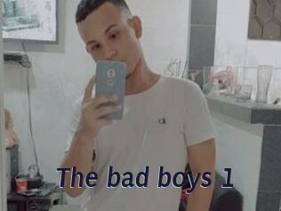 The_bad_boys_1