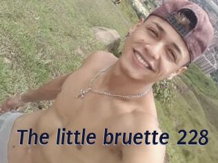 The_little_bruette_228