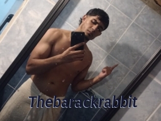 Thebarackrabbit