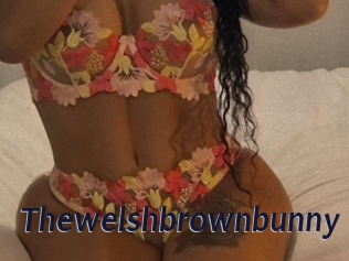 Thewelshbrownbunny