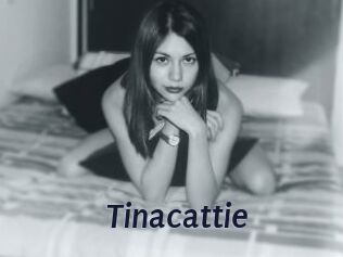 Tinacattie