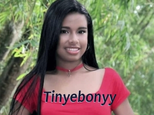 Tinyebonyy