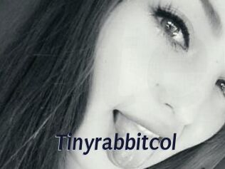 Tinyrabbitcol