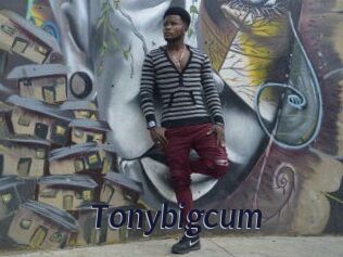 Tonybigcum