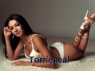 Torrieneal