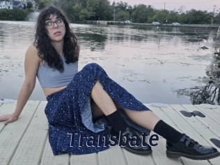 transbate Site Cul