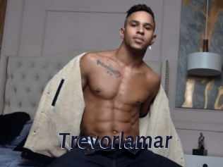 Trevorlamar