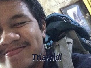 Triawidi