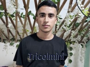 tricolmini Site Cul