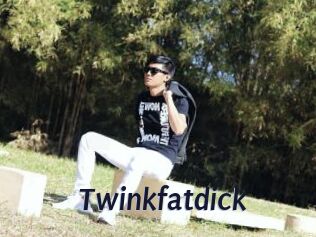 Twinkfatdick