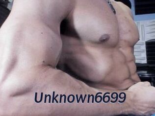 Unknown6699