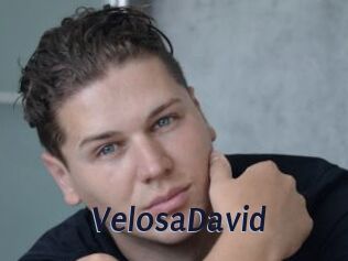 VelosaDavid