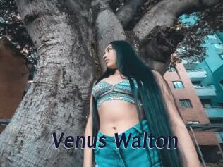 Venus_Walton
