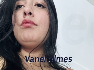 Vaneholmes