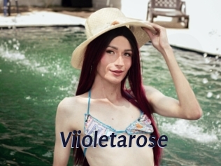 Viioletarose