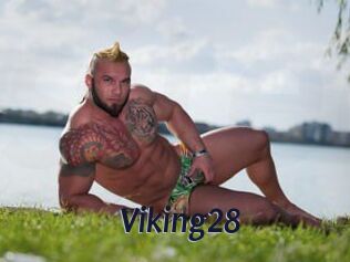 Viking28
