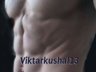 Viktarkushal13