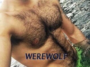 WEREWOLF