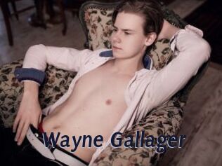 Wayne_Gallager