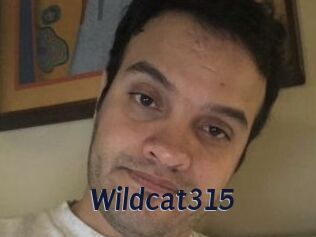 Wildcat315