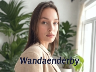 Wandaenderby
